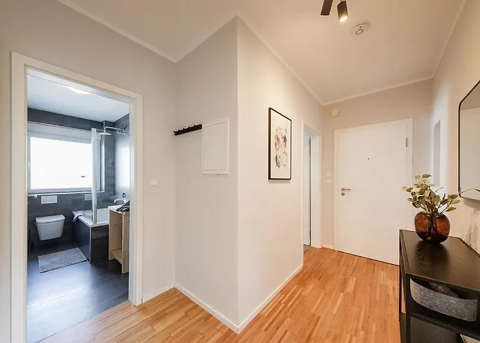 Kambrium * Munster (North Rhine-Westphalia)